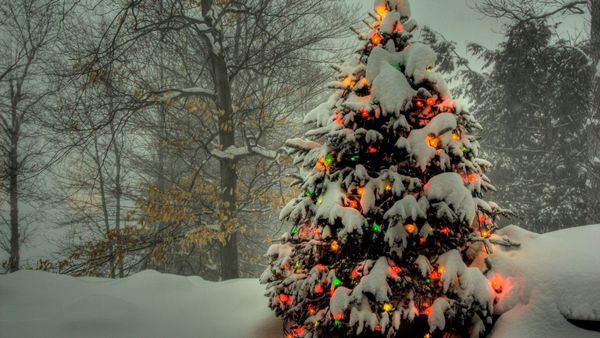 Advent of Cyber 2022 - TryHackMe