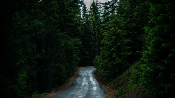 Road - TryHackMe