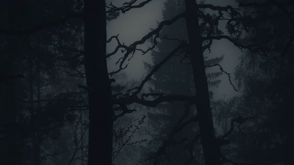 PermX - HackTheBox